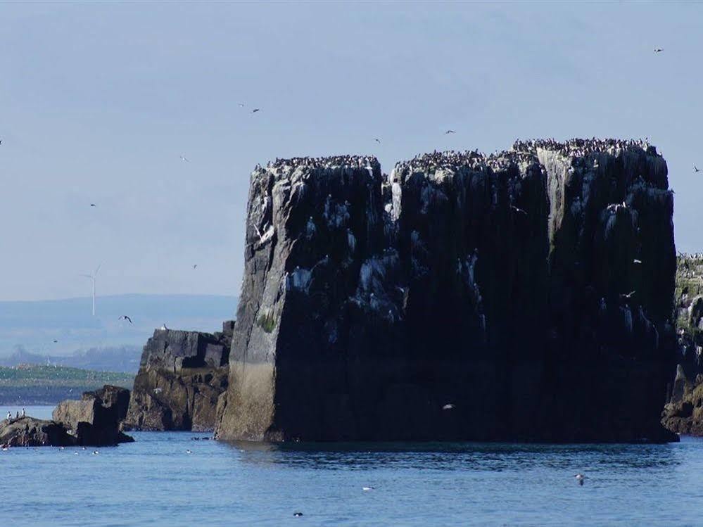 Farne Island Bed&Breakfast Seahouses Eksteriør billede